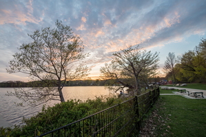 Spy Pond 24 April 2017-1